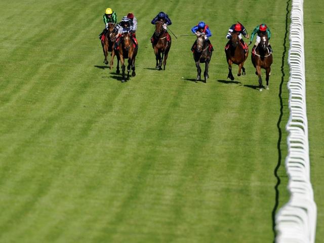 There is racing at Epsom on Sunday